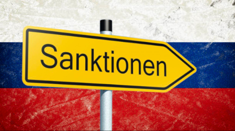 Wirtschaftsembargo: H&auml;rtere Sanktionen gegen Russland!