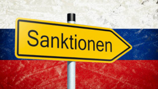 Wirtschaftsembargo: H&auml;rtere Sanktionen gegen Russland!