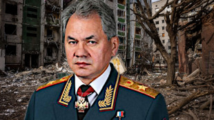 Todesstrafe f&uuml;r Sergei Schoigu wegen Kriegsverbrechen!