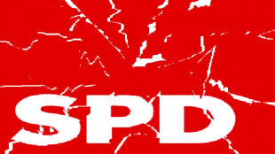 Jens Pl&ouml;tner, Andreas Michaelis, Olaf Scholz, Gerhard Schr&ouml;der and Frank-Walter Steinmeier - Putin's SPD lobbyists, in Germany?