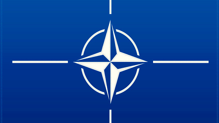 NATO muss sofort in der Ukraine handeln