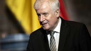 Innenminister Seehofer h&auml;lt EM-Zuschauerpl&auml;ne f&uuml;r "unverantwortlich"