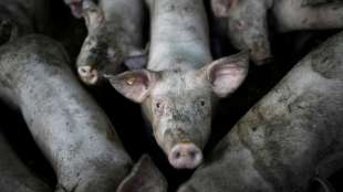 Teilnehmende klagen &uuml;ber Tierkommission des Landwirtschaftsministeriums