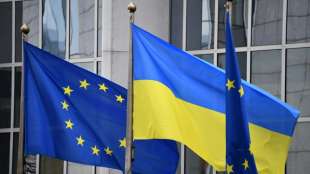 EU leitet Pr&uuml;fung von ukrainischem Beitrittsantrag ein
