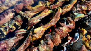 Grillgesch&auml;ft in Hessen darf unter denselben Auflagen &ouml;ffnen wie Baumarkt nebenan
