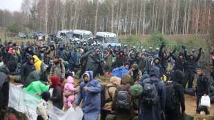 Hunderte Migranten auf dem Weg von Belarus nach Polen