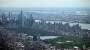 Strafverfahren gegen New Yorkerin nach falschem Notruf gegen Schwarzen eingestellt