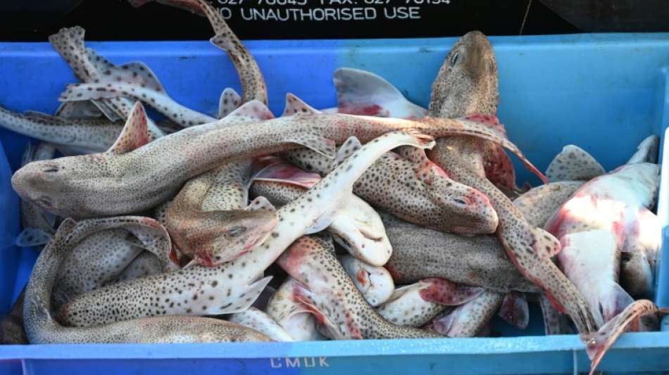 EU-Frist im Fischerei-Streit zwischen Frankreich und Gro&szlig;britannien abgelaufen