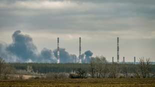 Putin beantragt gr&uuml;nes Licht des Parlaments f&uuml;r Truppeneinsatz in Ostukraine 