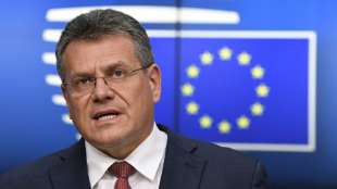 EU will bis 2025 zweitgr&ouml;&szlig;ter Batterie-Produzent nach China werden