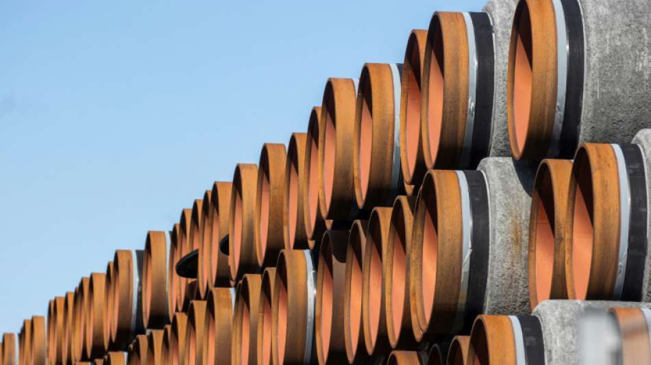 Nouripour: Nord Stream 2 nach Verhaftung Nawalnys "endlich ad acta" legen