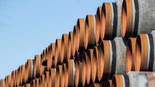 Nouripour: Nord Stream 2 nach Verhaftung Nawalnys "endlich ad acta" legen