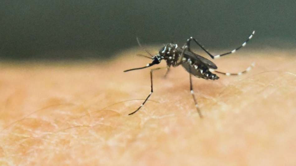 Zika-Ausbruch in indischem Bundesstaat Kerala versetzt Beh&ouml;rden in Sorge