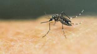 Zika-Ausbruch in indischem Bundesstaat Kerala versetzt Beh&ouml;rden in Sorge