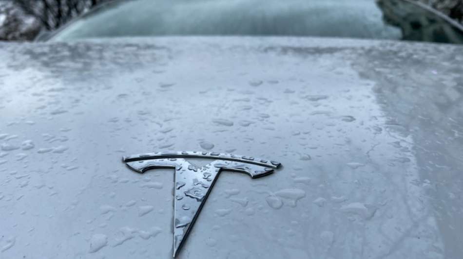 Tesla erh&auml;lt endg&uuml;ltige Genehmigung f&uuml;r Werk in Brandenburg