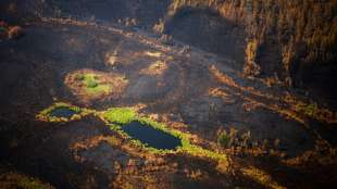 Waldbr&auml;nde in Sibirien breiten sich weiter aus