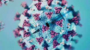 EU-Staaten weiten Suche nach Mutationen des Coronavirus aus