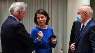 &Ouml;sterreichs Au&szlig;enminister widerspricht Baerbock bei Nord Stream 2