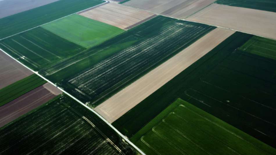 Landwirtschaftliche Betriebe in Deutschland "so gro&szlig; wie nie"