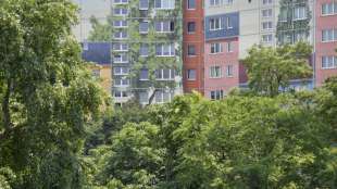 Ein Jahr nach der Scheidung erlischt der Anspruch auf &Uuml;berlassung der Wohnung