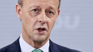 Merz ruft Bundesregierung zu klarer Haltung und Initiative im Ukraine-Konflikt auf