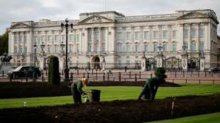Mit Messer und Kokain auf das Gel&auml;nde des Buckingham-Palasts eingedrungen