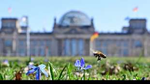 Bundestag: Merkel verteidigt n&auml;chtliche Ausgangssperre
