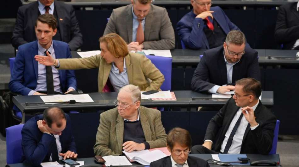 AfD klagt in Karlsruhe auf Besetzung von Ausschussposten im Bundestag
