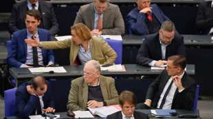 AfD klagt in Karlsruhe auf Besetzung von Ausschussposten im Bundestag