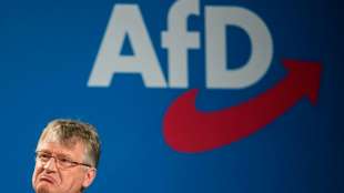 Meuthen verl&auml;sst auch Rechtspopulisten-Fraktion im Europaparlament