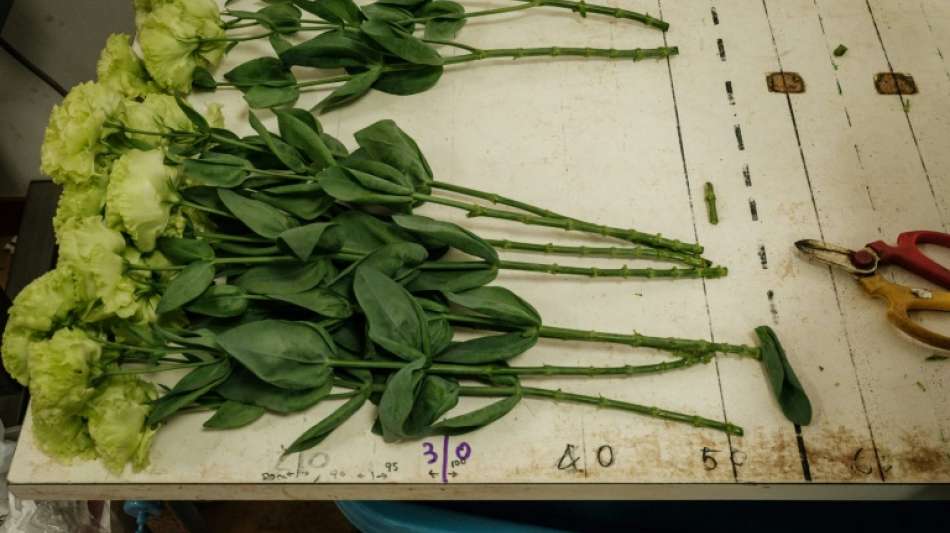 Floristinnen und Floristen bekommen f&uuml;nf Prozent mehr Lohn