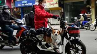 Touristenziel in Vietnam will Verzehr von Hunde- und Katzenfleisch beenden
