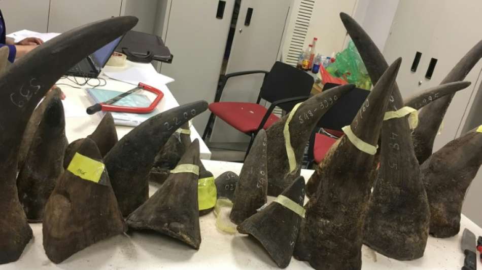 Gericht in Vietnam verh&auml;ngt bislang l&auml;ngste Haftstrafe f&uuml;r Nashorn-H&ouml;rner-Schmuggel
