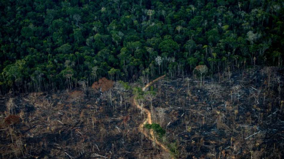 Bericht: Bergbau-Giganten wollen in Ureinwohner-Gebiete im Amazonas vordringen