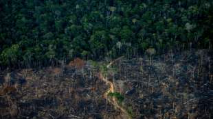 Bericht: Bergbau-Giganten wollen in Ureinwohner-Gebiete im Amazonas vordringen