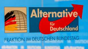 Verfassungsschutz darf AfD vorerst nicht als Verdachtsfall behandeln