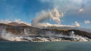 Drohne soll zwischen Lavastr&ouml;men eingeschlossene Hunde auf La Palma retten