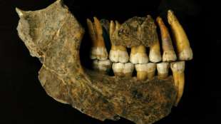 Studie: Neandertaler in Nordeuropa viel fr&uuml;her ausgestorben als bislang gedacht