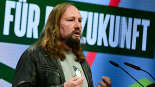 Presse: Anton Hofreiter soll Vorsitz des Europaausschusses &uuml;bernehmen