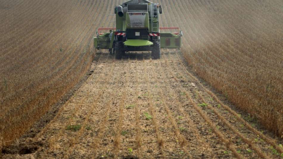 Europas Landwirte pflanzen mehr H&uuml;lsenfr&uuml;chte wie Soja und Lupinen