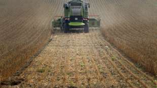 Europas Landwirte pflanzen mehr H&uuml;lsenfr&uuml;chte wie Soja und Lupinen