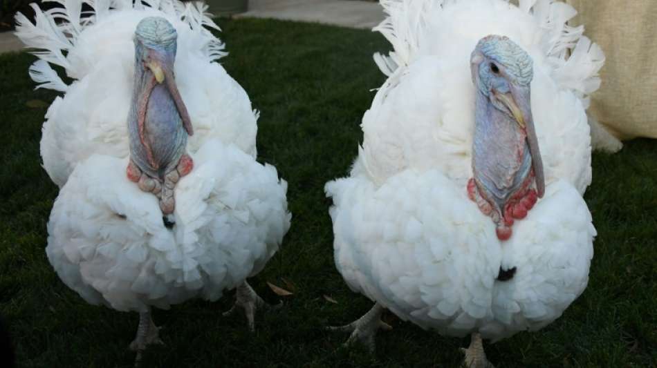 US-Pr&auml;sident Joe Biden begnadigt vor Thanksgiving zwei Truth&auml;hne