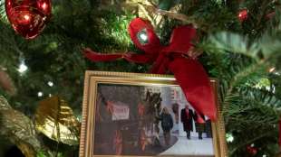 Trump kehrt ins Wei&szlig;e Haus zur&uuml;ck - auf einem Foto an Bidens Weihnachtsbaum