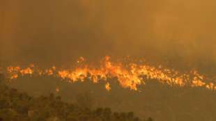 Waldbrand in australischer Stadt Perth mitten in neuem Corona-Lockdown