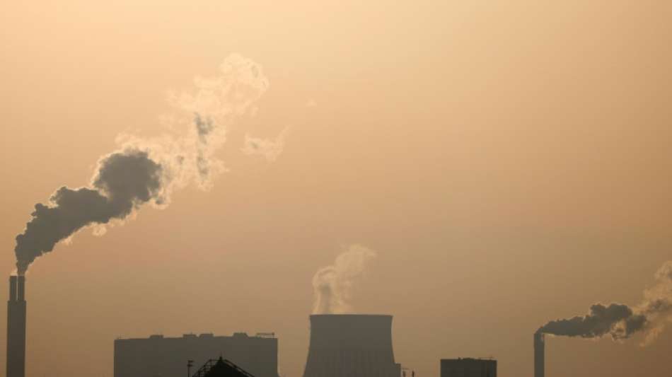 BDI-Umfrage: Zahlreiche Unternehmen leiden unter steigenden Energiepreisen