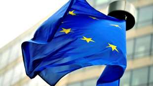 EU-Staaten f&uuml;r Offenlegung von Steuern internationaler Unternehmen