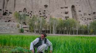 Hasara-F&uuml;hrer sagen Taliban-Regierung in Afghanistan Unterst&uuml;tzung zu