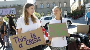 Greta Thunberg will nun doch an Weltklimakonferenz teilnehmen