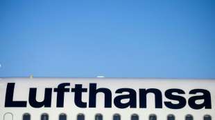 Reiselust und Frachtgesch&auml;ft bescheren Lufthansa positives Sommergesch&auml;ft