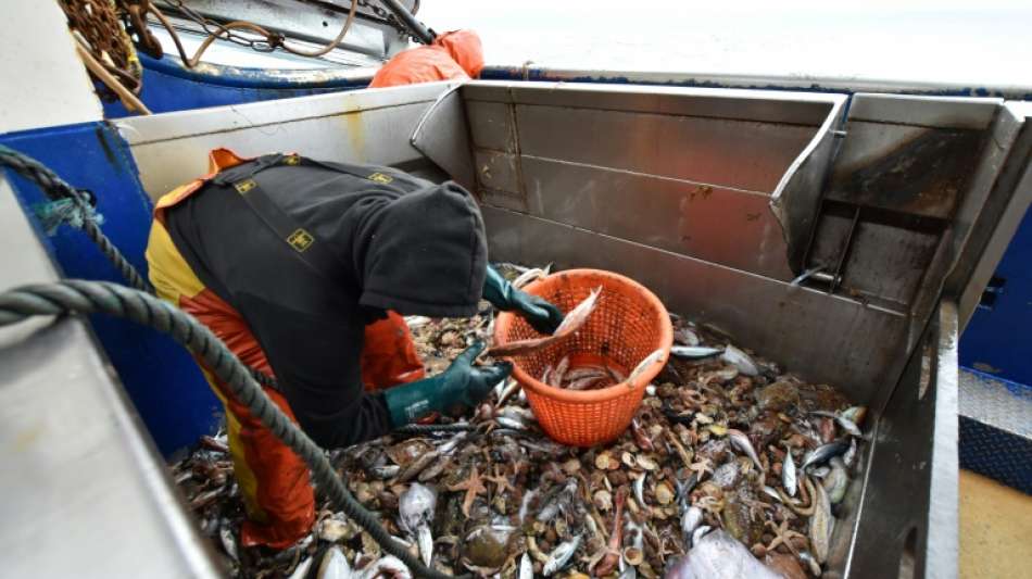Mehr Hering und weniger Seelachs f&uuml;r deutsche Nordseefischer